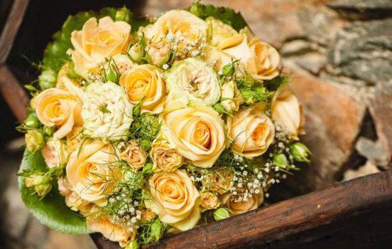 ��õ�廨���׼ȷ��˼ �����������������Щ