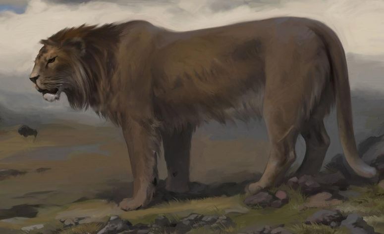 欧洲狮是不是灭绝了 它是怎么灭绝的原因