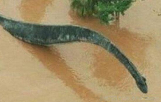 98��ˮ�����¼�������� �����¼�98���ˮͼƬ