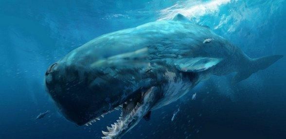 ÷��ά������ʲô����ͼƬ �ж���м�����