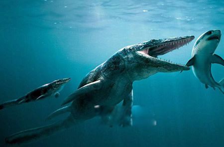 ÷��ά������ʲô����ͼƬ �ж���м�����