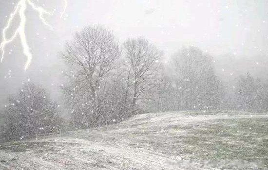 �״�ѩ��ʲô��˼�� Ԥʾ��ʲô����