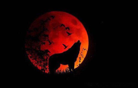 �״�ѩ��ʲô��˼�� Ԥʾ��ʲô����