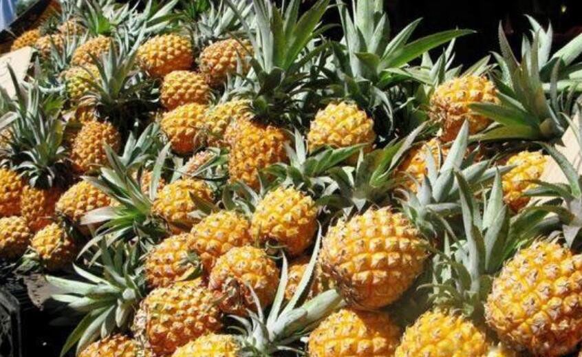 �������ܳԶ��˻���ô�� �Բ�����Һ������