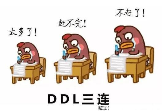 Ů������˵cpdd��ʲô��˼ ��������CP���źŰ�ʾ