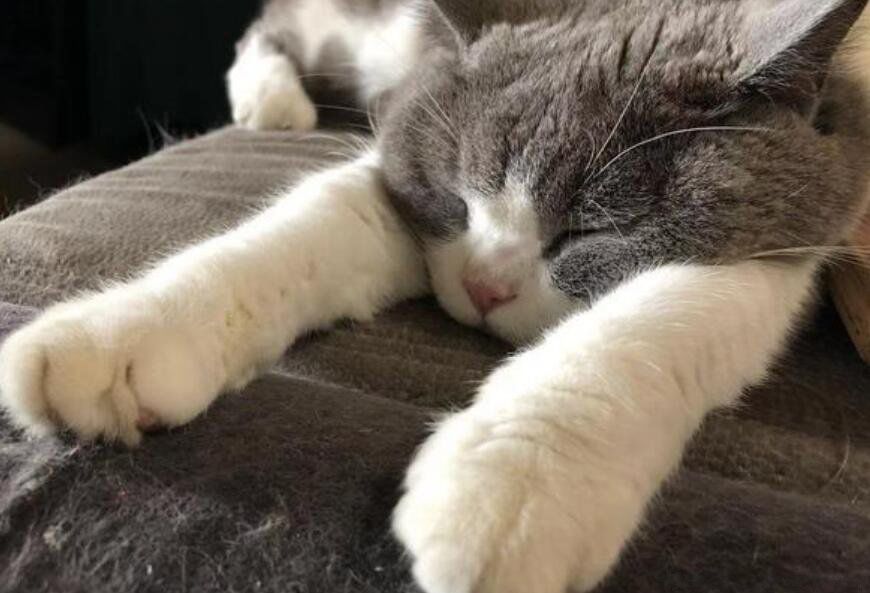 �μ����˸���ʲôԤ�� ��ȥ�������ֻ��˻����Լ�˵��