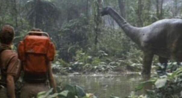 �չ�������Ĵ����� �չ����ֻ����Ŀ���¼�