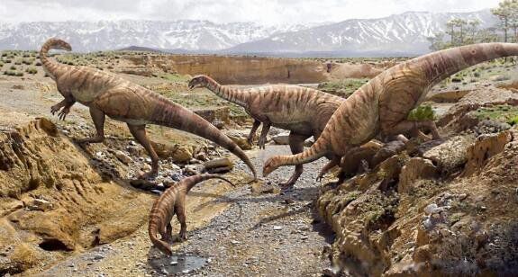 �չ�������Ĵ����� �չ����ֻ����Ŀ���¼�