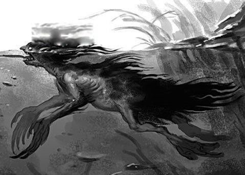 水鬼水猴子是什么动物 民间水猴子的来历和传说-走红网