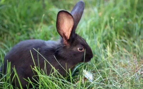 2023���Ǻ�����ʲô��˼ 2023��������������ʲô