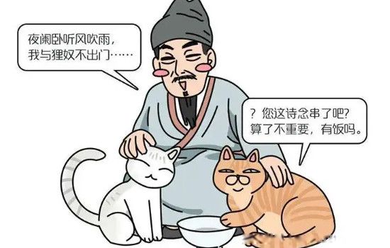 古代人称呼猫的雅称 猫咪古代的各种叫法