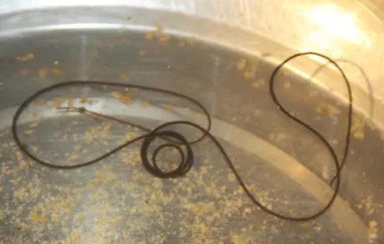 ���߳������������� ��ͨ��ʲô��ʽ��������