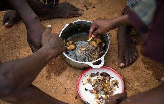 最大的蜘蛛有多大图片 史上最大的蜘蛛是什么蜘蛛长多少米