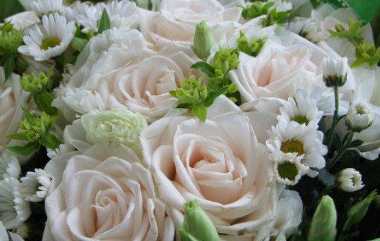 白玫瑰代表什么意思 为什么白玫瑰不能随便送人呢