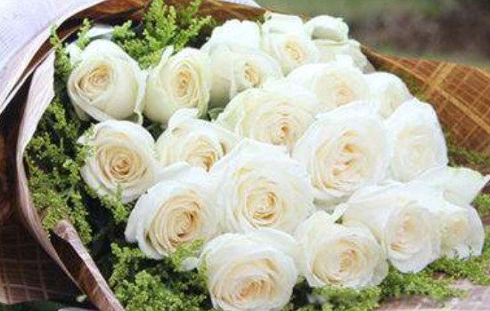 ��õ�����ʲô��˼ Ϊʲô��õ�岻�����������