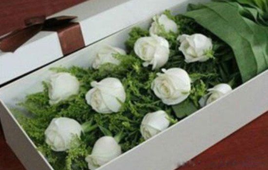 ��õ�����ʲô��˼ Ϊʲô��õ�岻�����������