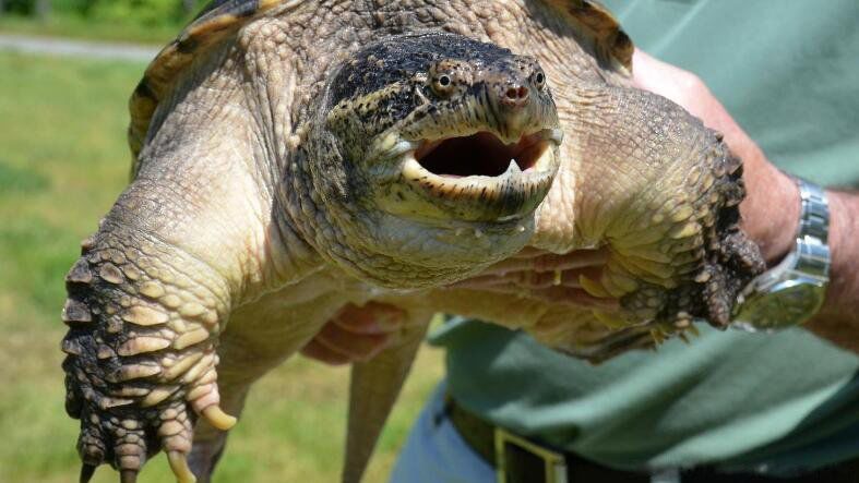 ���ڹ�Ϊʲô������˫�� ��ʲô�ɻ���