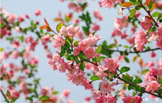 �̷ʺ��ݵĺ���ָ����ʲô�� �����յ���������ĺ���ָ�������ֻ�