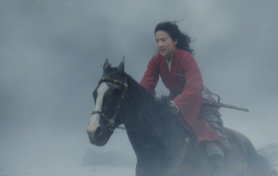 ��ľ����ʲô�������� ����Ӣ���������ĸ�����