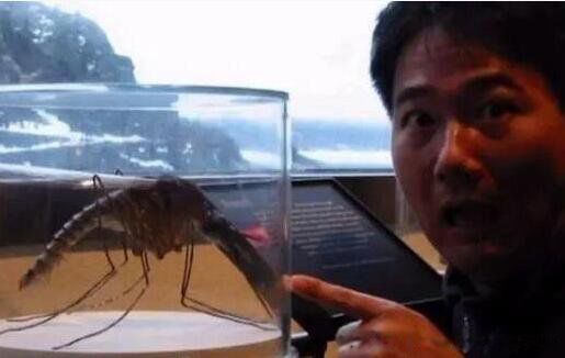 �𸹾���ͼƬ��ʲô�� �������������ӽ𸹾�����ʲô