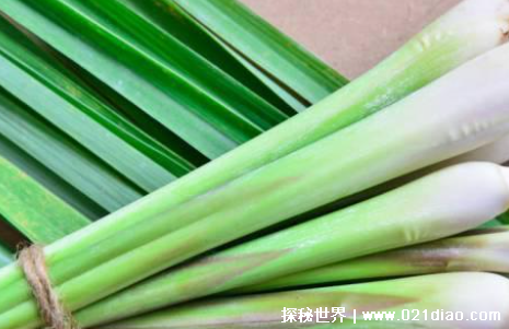 �𸹾���ͼƬ��ʲô�� �������������ӽ𸹾�����ʲô