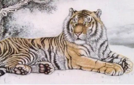 һ�ԾŶ�����ָʲô��Ф ��ʲô��Ф˵����һ��