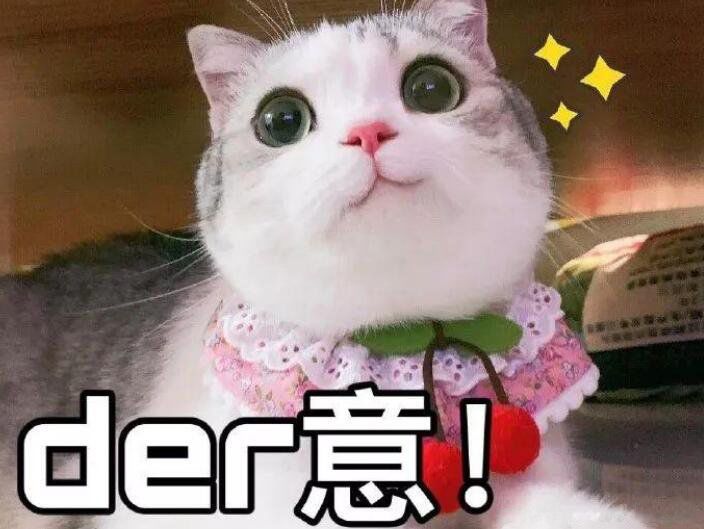 der是哪里的方言 东北话der什么意思