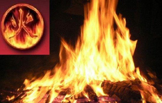 飞蛾扑火的原因 自取灭亡的飞蛾扑火是什么行为