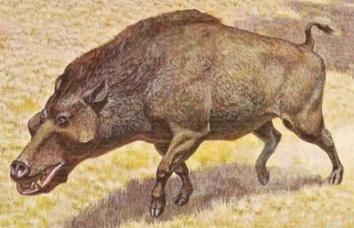 ��������ԭ�� �����Ϊʲô�����