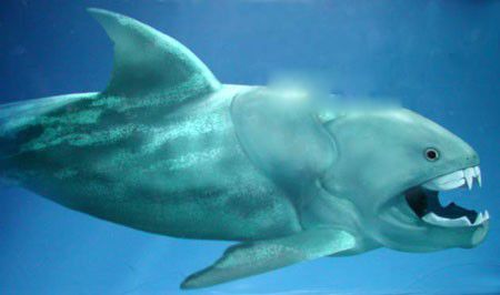 ��������ԭ�� �����Ϊʲô�����