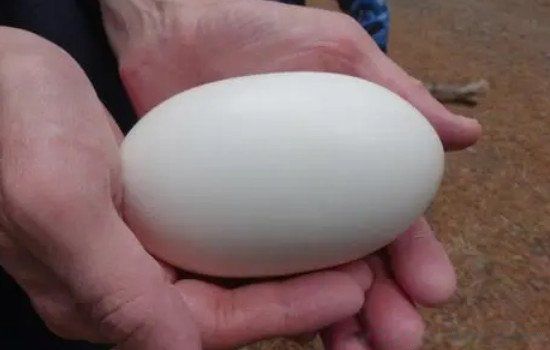 �������Ĺ�����ʲô�� ��ά��ĵ��ж���������