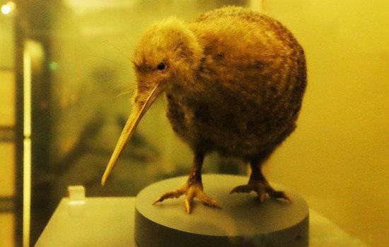 �������Ĺ�����ʲô�� ��ά��ĵ��ж���������