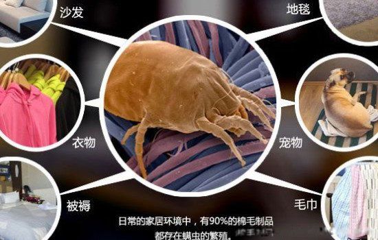 ������ôȥ������Ч���� ����ȥ�����������Ч������ʲô