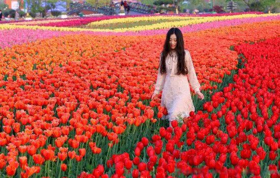 ����������Զ��뿪 ������ʲô��ζһ�ž���