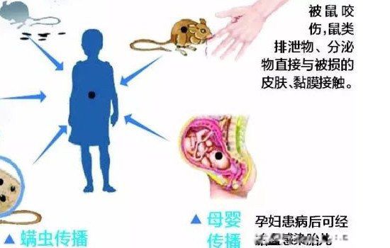 ����������Զ��뿪 ������ʲô��ζһ�ž���