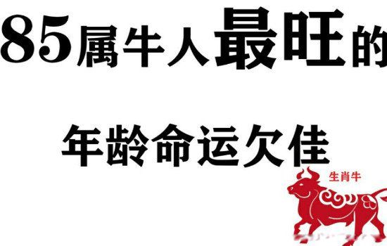 85����ţ�������36����˼������ ��ʲô���ƽ��