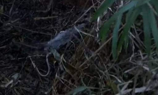 ��ȸ��Ϊʲô�ж� ��ʲô�ط�����