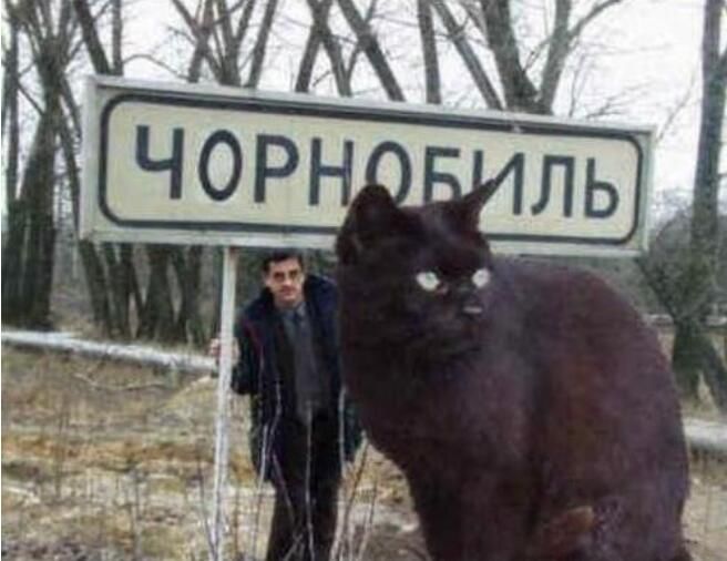 乌克兰巨猫事件真相是什么 Angie真实存在吗