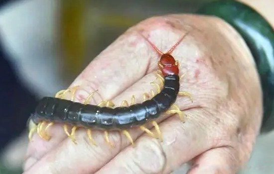 ���Ϊʲô���ܴ��� �������Ҫ������