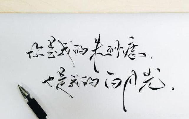 白月光与朱砂痣什么意思 张爱玲白玫瑰与红玫瑰分别代表什么感情