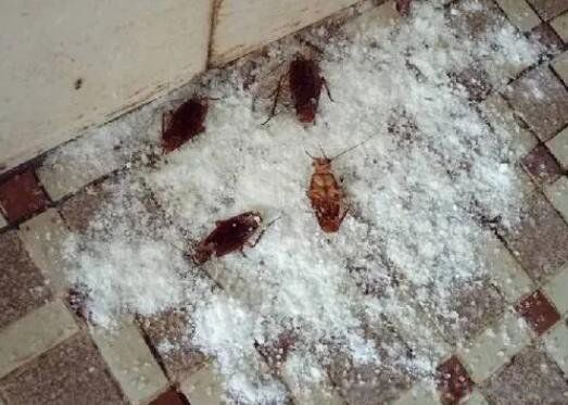 ���᲻�������˵Ķ�������ȥ �ƿ������῿����˯������
