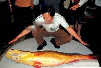 ��Ǯ����ͼƬ�۸����Ǯһ�� �Խ�Ǯ������ʲô��Ч