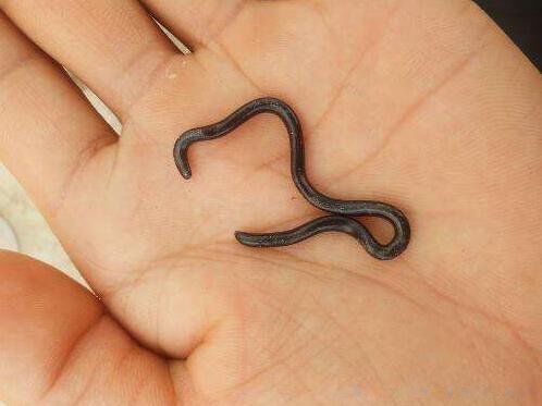 ��������ɰ����� ʮ��Ǯ���޶�С������