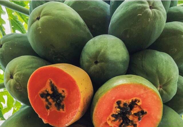 ��ľ�ϵĽ�����ʲô ľ�ϲ��ܺ�ʲô��һ���