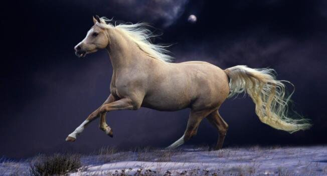 1990��������ʲô�� 1990������������ʲô