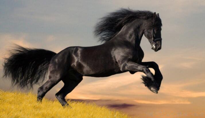 1990��������ʲô�� 1990������������ʲô