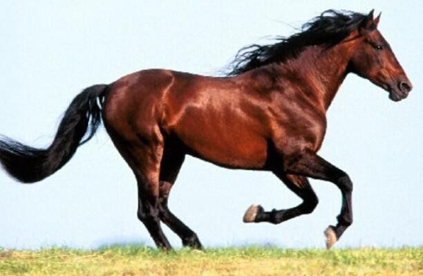 1990��������ʲô�� 1990������������ʲô