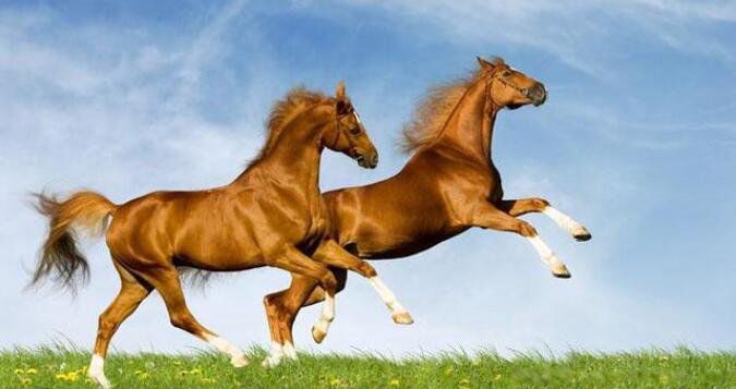 1990��������ʲô�� 1990������������ʲô