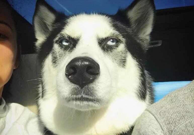 ���˺�Ů����������ʲô��˼ �������������������