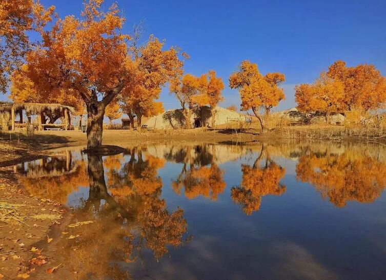 ������ĺ�������ǰʮ�� ʷ�������������ʲô��